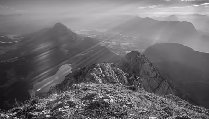 Digitales Geldmuseum