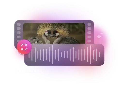 Sync Voice With Video