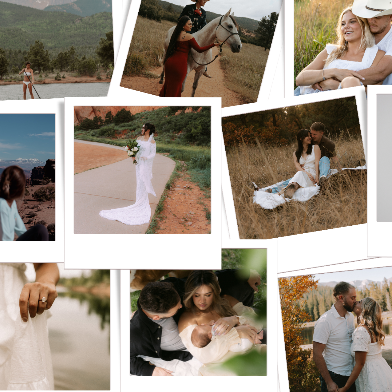 Gallery Images 1
