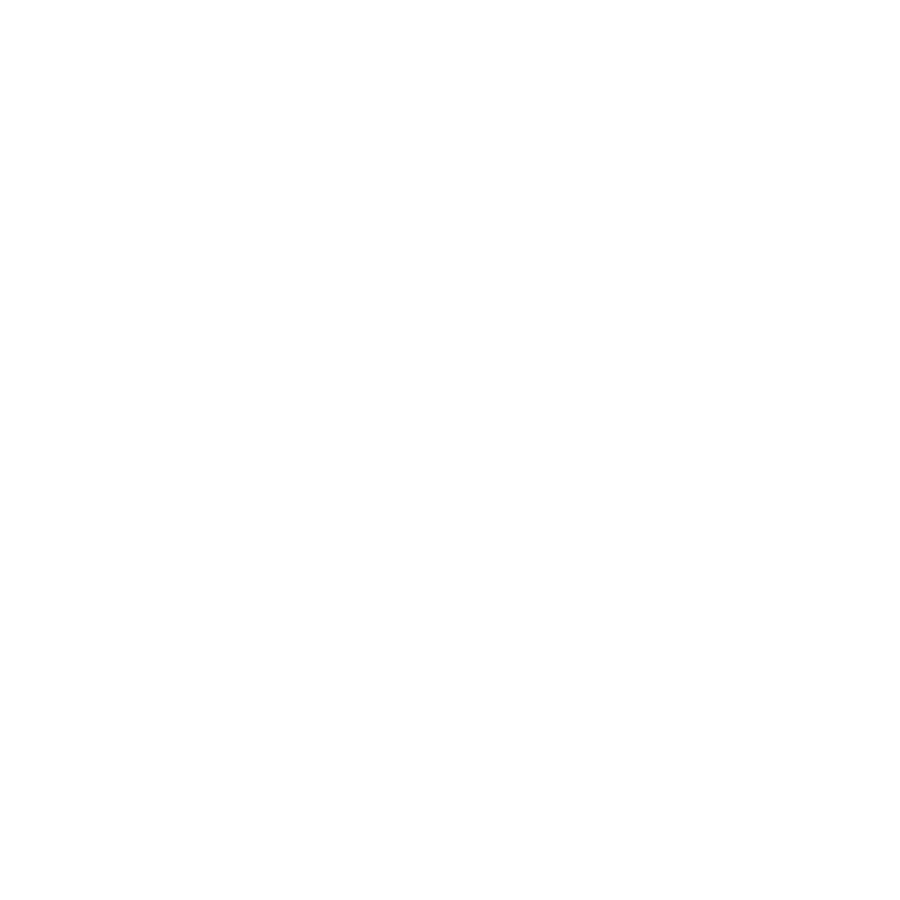 protective cross icon