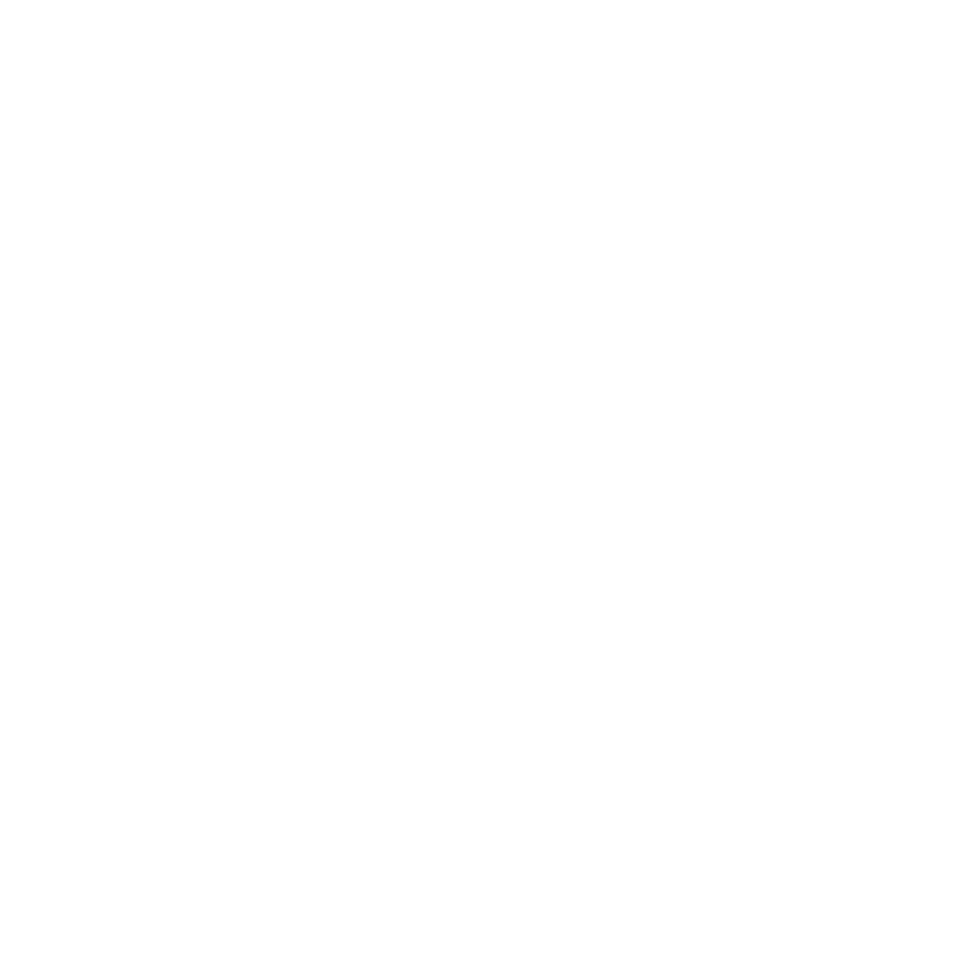 flag Icon