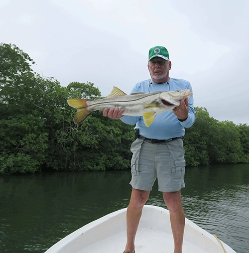 Fisherman holds large snook on boat with green trees in background
