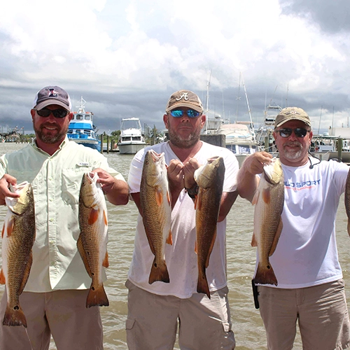 Three fishermen showing off their catch of large redfish by marina