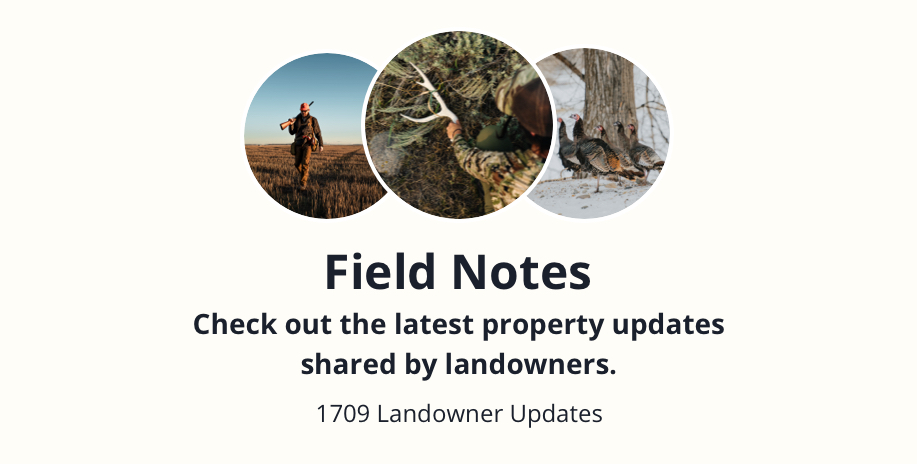 How to Use Field Notes for Real-Time Property Updates Before Your Hunt