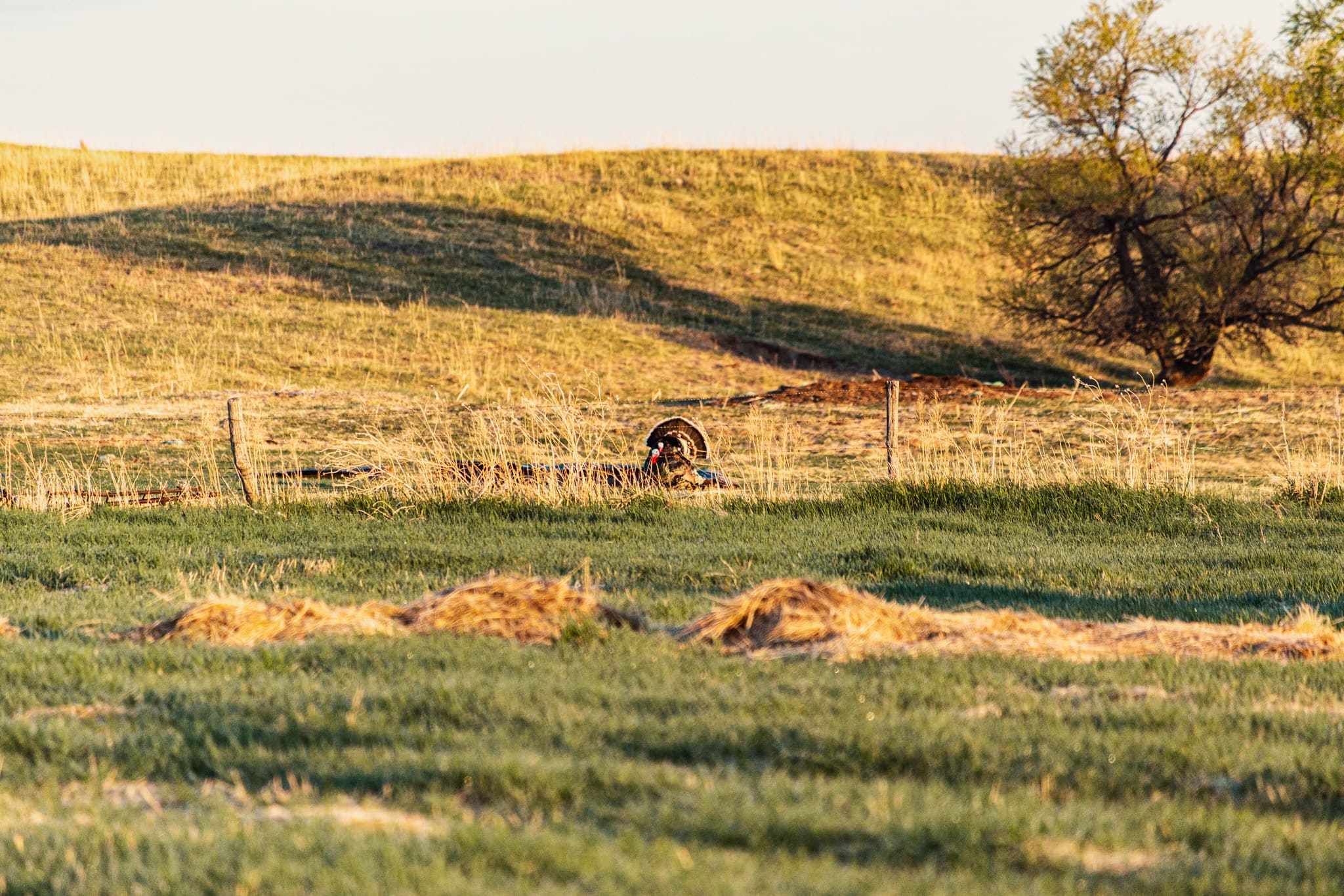 Top Private Land Hunting Destinations by State: Your Complete Guide to America's Best Hunting Properties