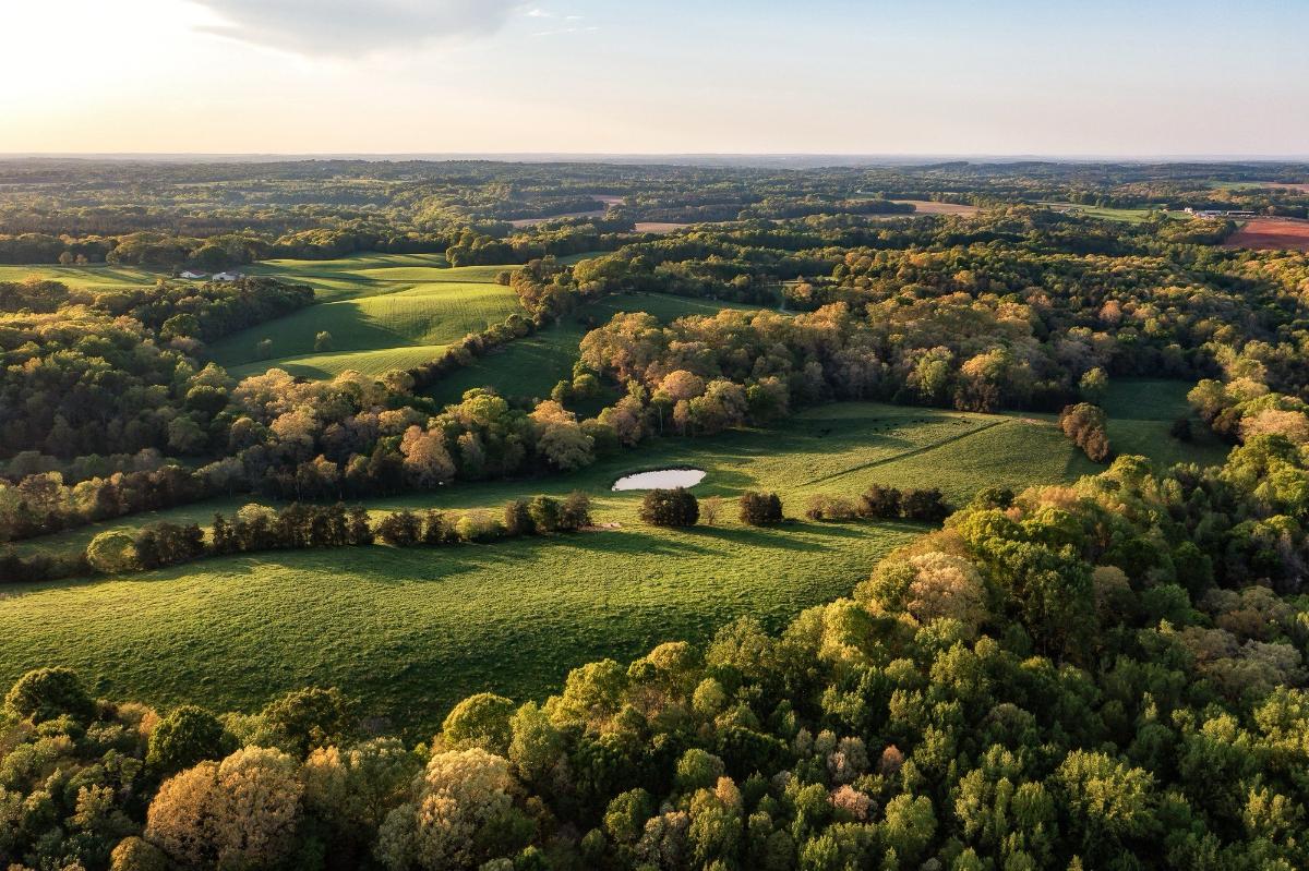 Sustainable Hunting: How Private Land Recreation Supports Conservation