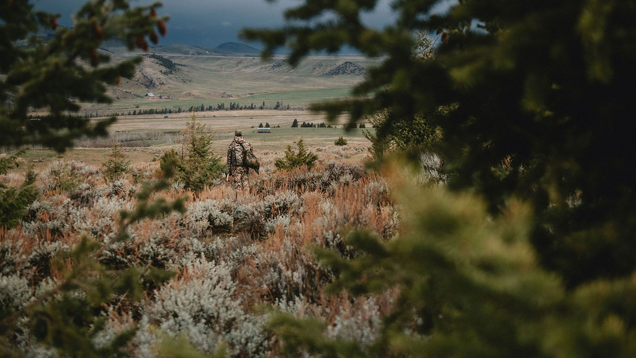 Idaho Turkey Season 2026: Dates, Tags, and How to Find Private Land Access