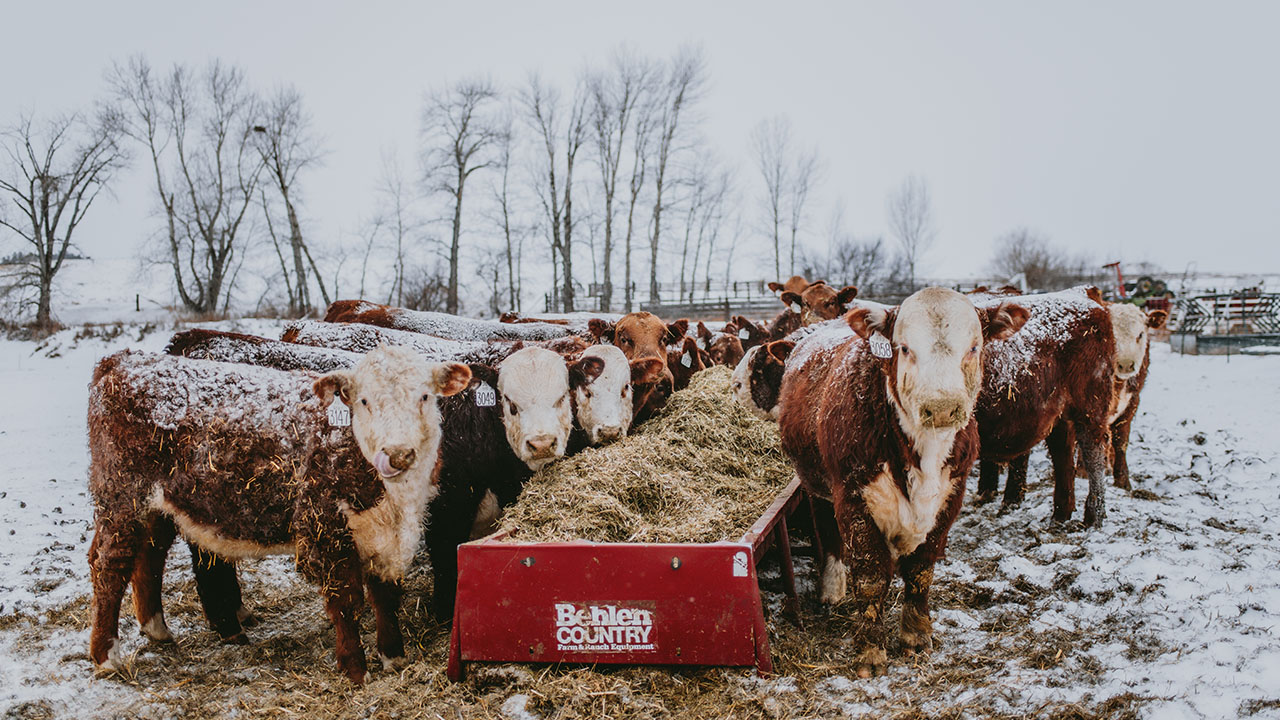 Liability Insurance for Landowners Hosting Hunters: What LandTrust Covers