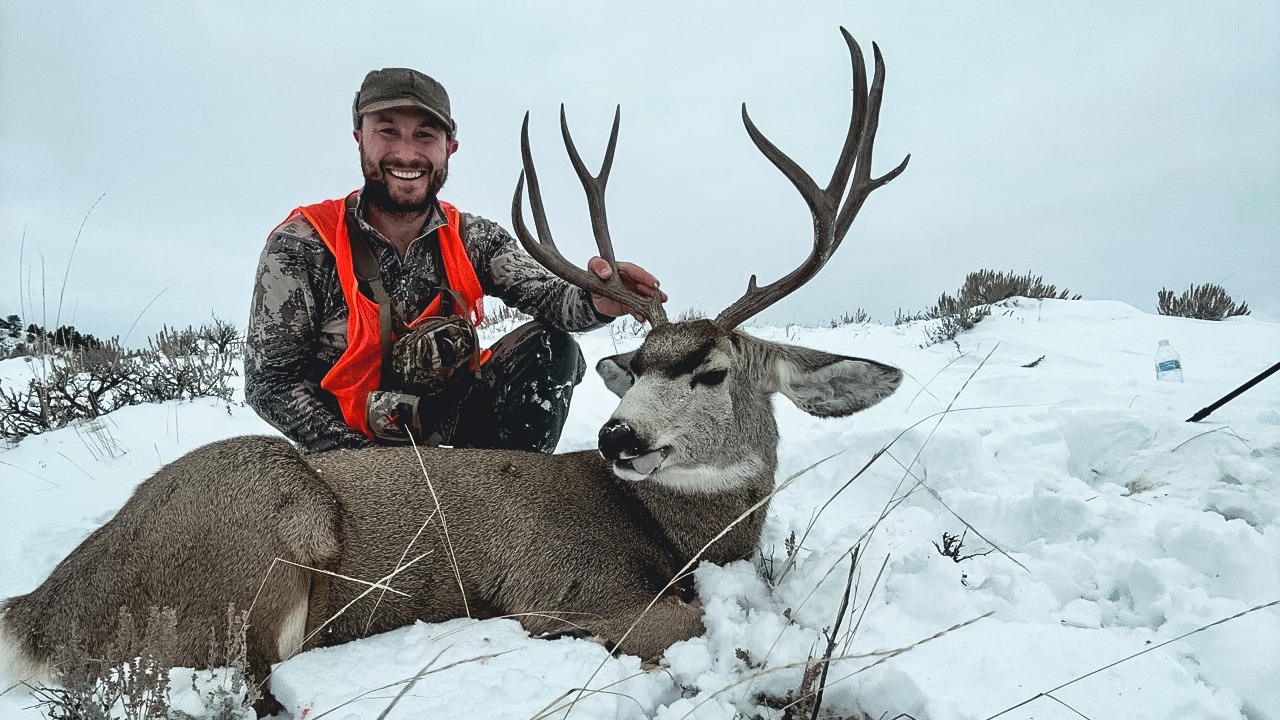 Planning an Out-of-State Mule Deer Hunt Without Wasting Time