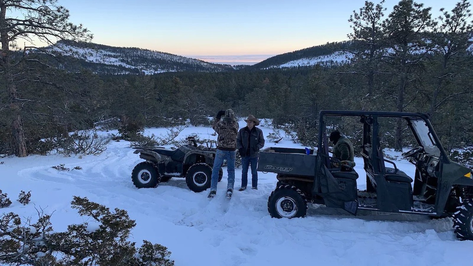 Maine Moose Hunting: Seasons, Lottery, and What to Expect