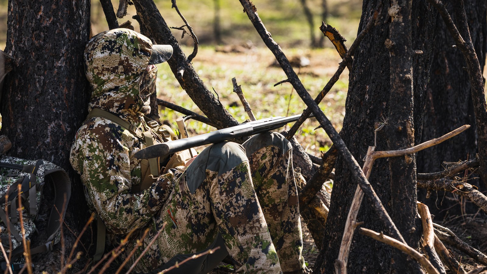 Florida Hunting Seasons 2026-2027: Dates, Zones, and Regulations