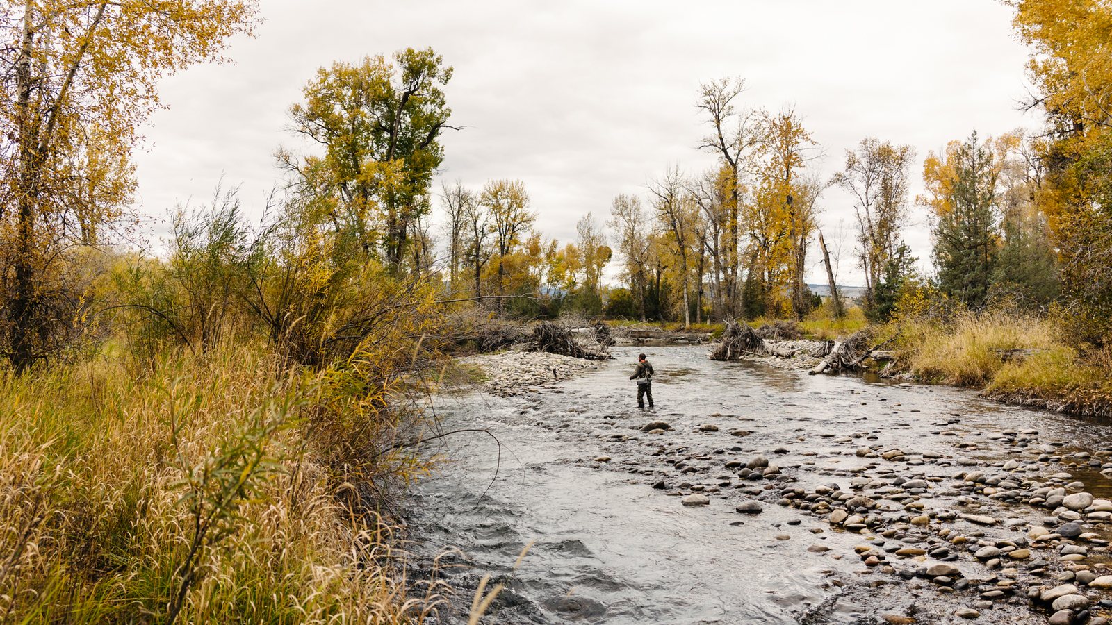 Illegal Fish Species by State: What You Cannot Catch or Keep