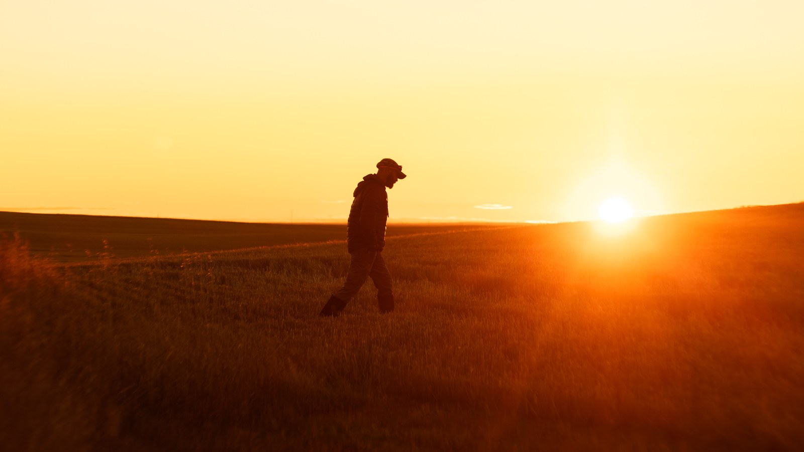 Calendar of Hunting Seasons by State: A Hunter's Planning Guide