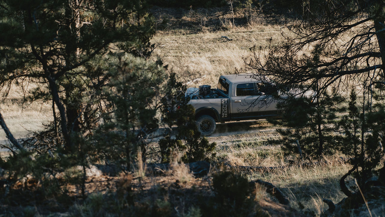Deer Baiting Laws by State: What's Legal and What's Not