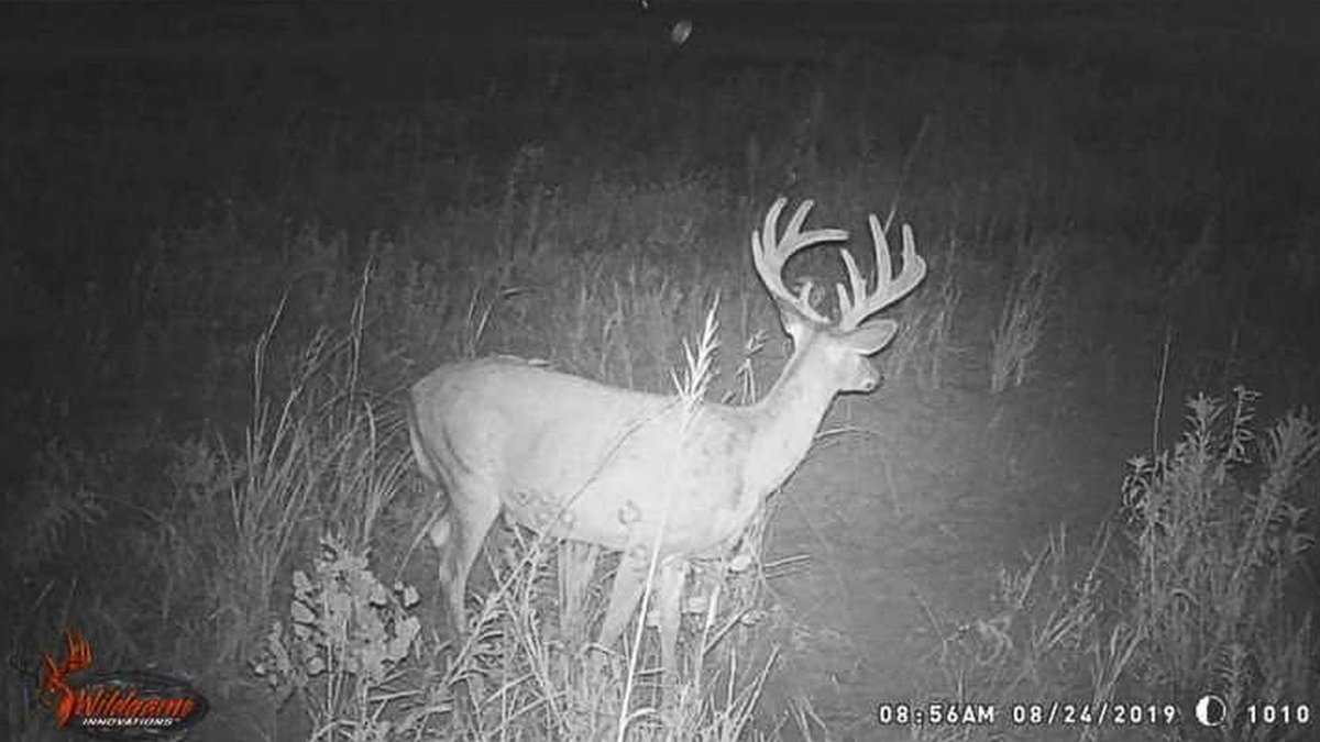 Decoding Trail Cameras: How to Get More Out of Your Scouting