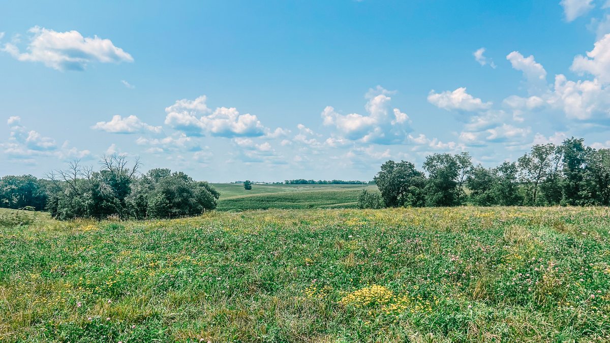 Deer Hunting Leases: How to Find Private Land Without a Long-Term Commitment