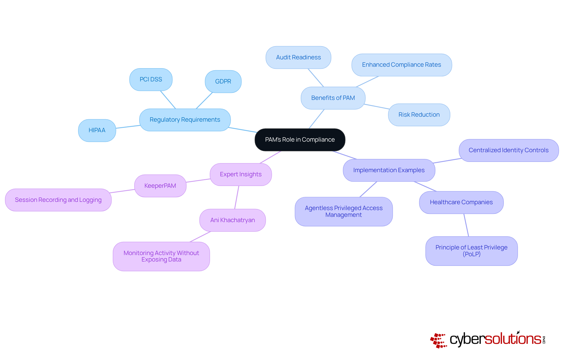 The central node represents PAM's importance in compliance. Each branch shows different aspects, like regulations and benefits, helping you understand how they relate to PAM.