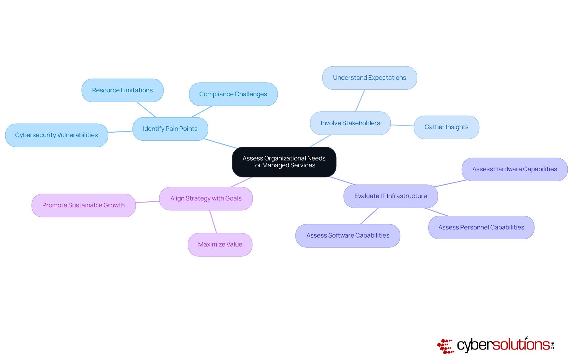 The central node represents the main focus of the assessment. Each branch shows a key area of consideration, and the sub-branches provide specific details related to that area. This layout helps visualize how different components connect and contribute to the overall strategy.