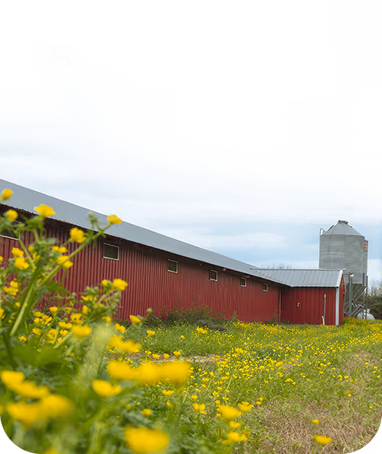 Large red barn
