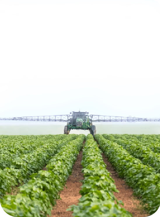 Large farm with irrigation equipment