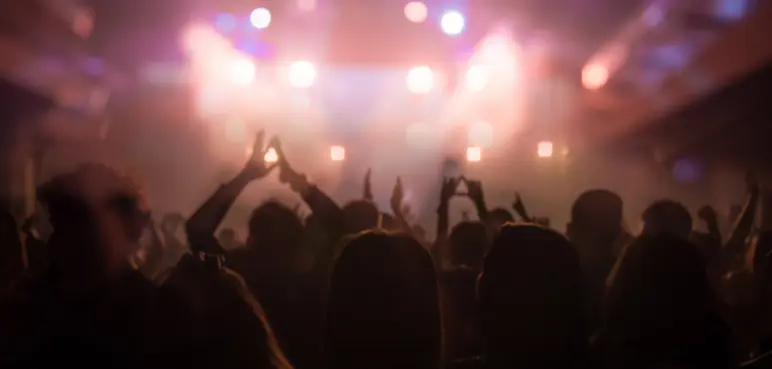 Artiesten voor elk type evenement