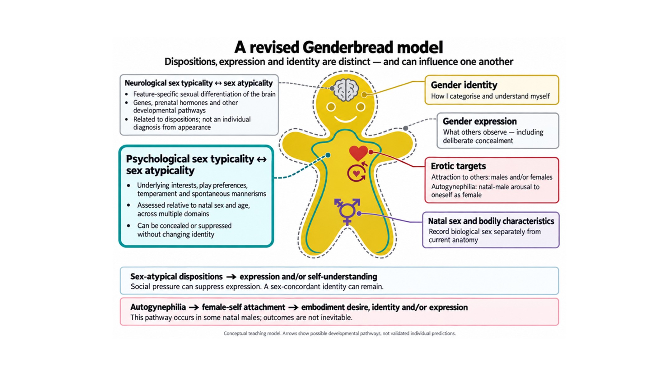 James Morandini's revised Genderbread model, separating dispositions, identity, expression, erotic targets and natal sex