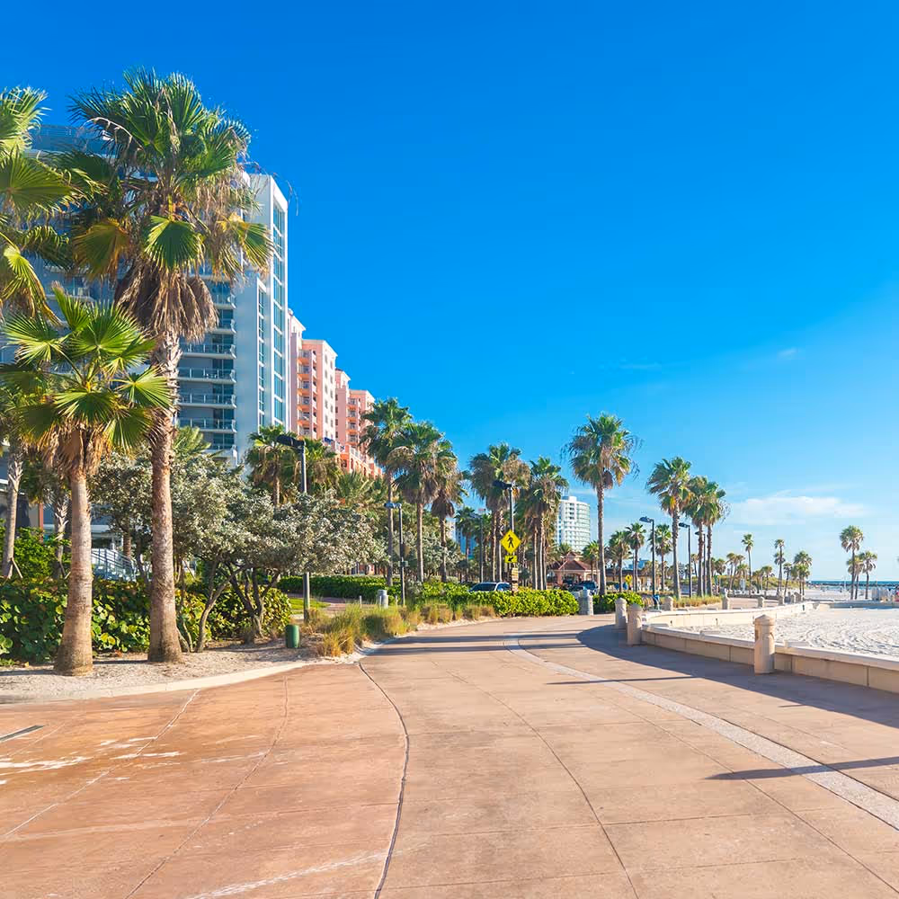 Scenic Clearwater, Florida beachfront walkway lined with palm trees near Elevate senior living community.