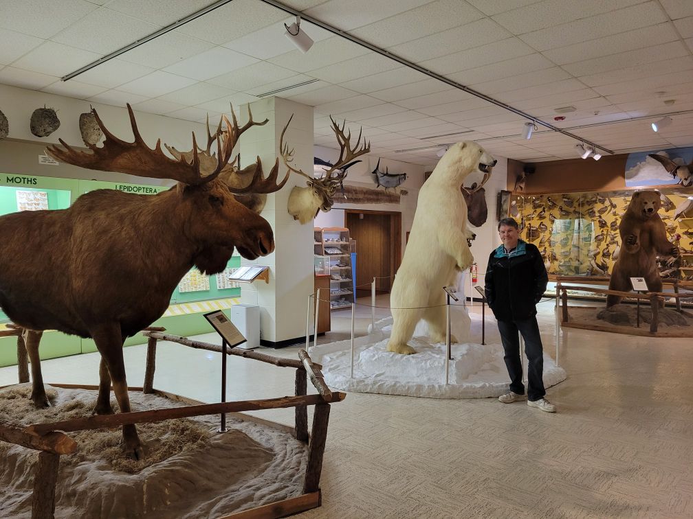 Visitors enjoying a local museum in Branson