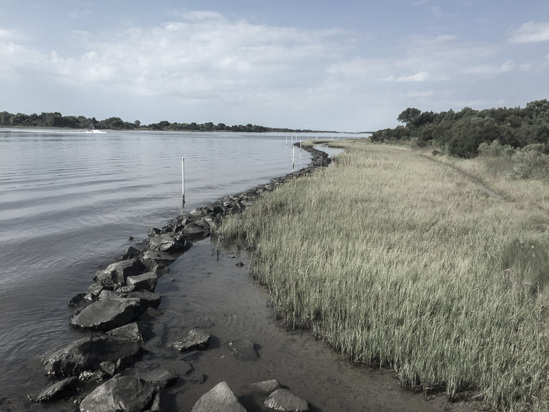 An outdoor view of the Morris Landing living shoreline demonstration site, showcasing a rock sill buffer structure running parallel to an expansive native salt marsh grass wetland along the coastal water's edge.