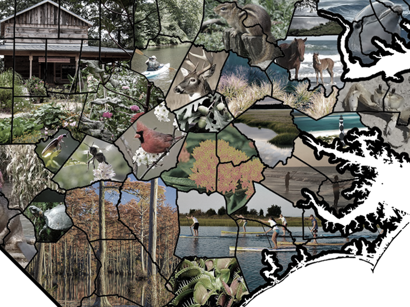 An illustrated layout map of North Carolina showcasing county boundaries filled with representative images of native species, Sustainable SITES design projects, and outdoor recreation activities to advertise the NCASLA statewide event series.