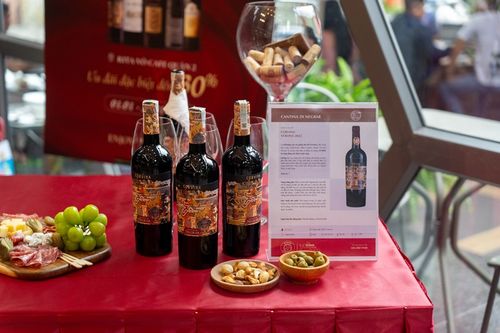 Rượu Corvina VERONA 2022