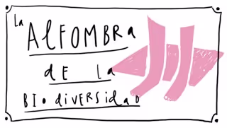 Taller infantil de creatividad y diseño | Caminando en la Biodiversidad