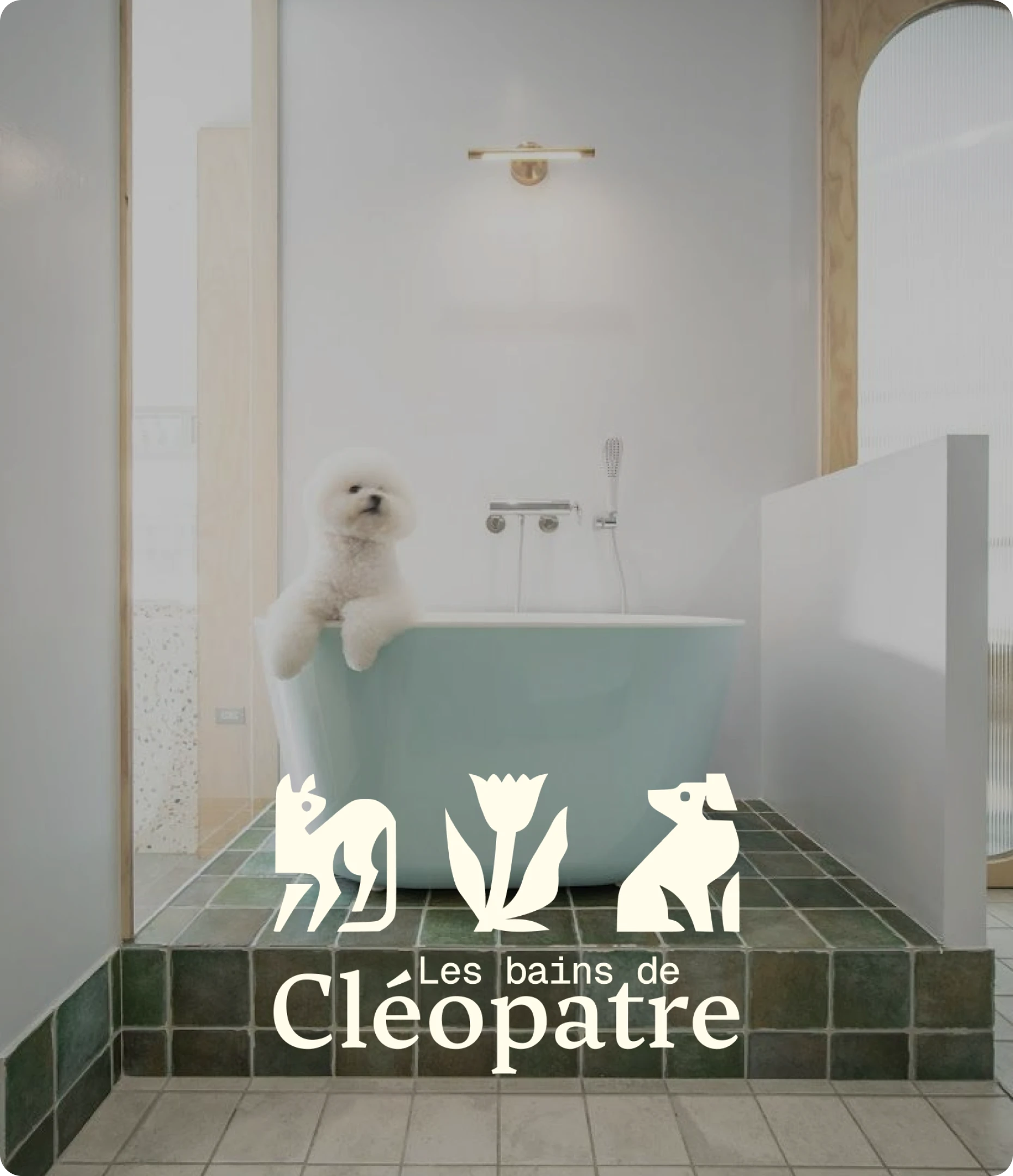 Affiche des Bains de Cléopatre, avec un chien blanc dans une baignoire