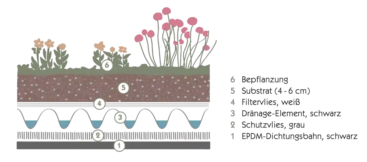Grafik mit Erklärung wie sich extensive Dachbegrünung bei Garten Kubus aufbaut