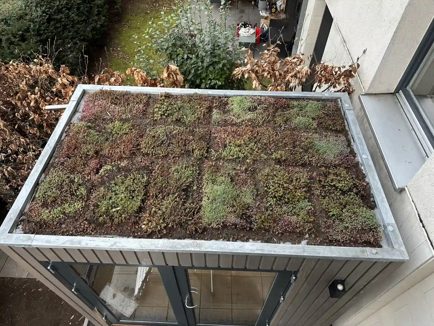 Blick auf Flachdach eines Garten Kubus Gartenbüros mit frisch ausgelegten Sedum Begruenungsmatten, Pflanzen noch braun