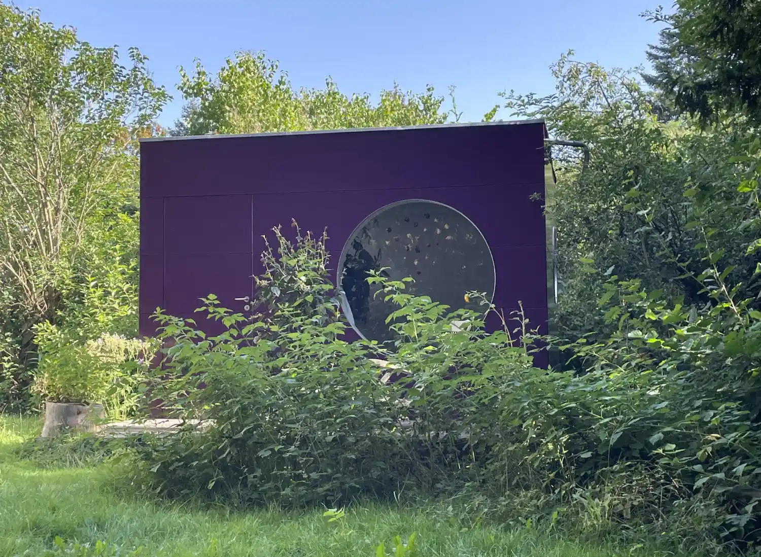 Blick auf isoliertes Gartenhaus in Kubusvorm mit Rundfenster, lila Holzfassade, dahinter gruene Baeume, davor gruene Straeucher