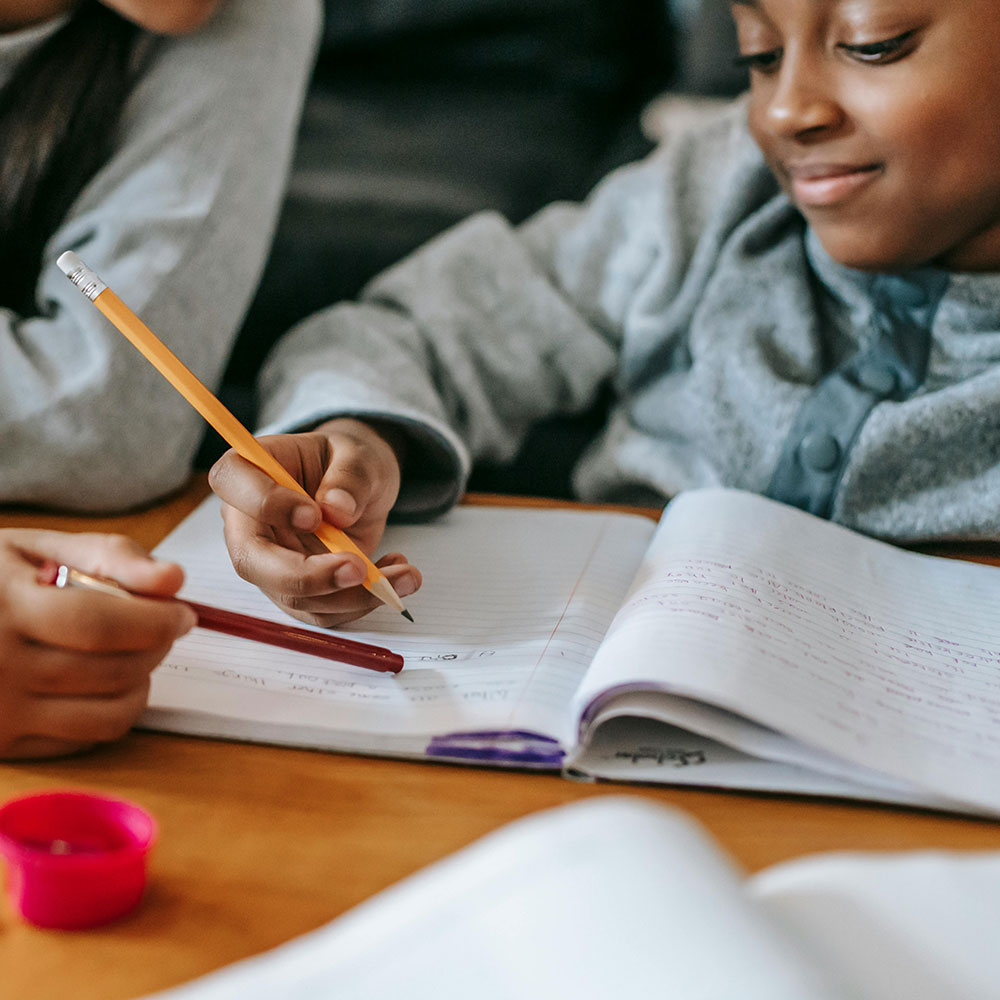 ADHD Medication Pathway