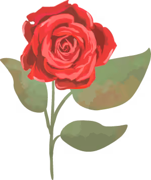 Ilustración de una rosa roja con dos hojas verdes.