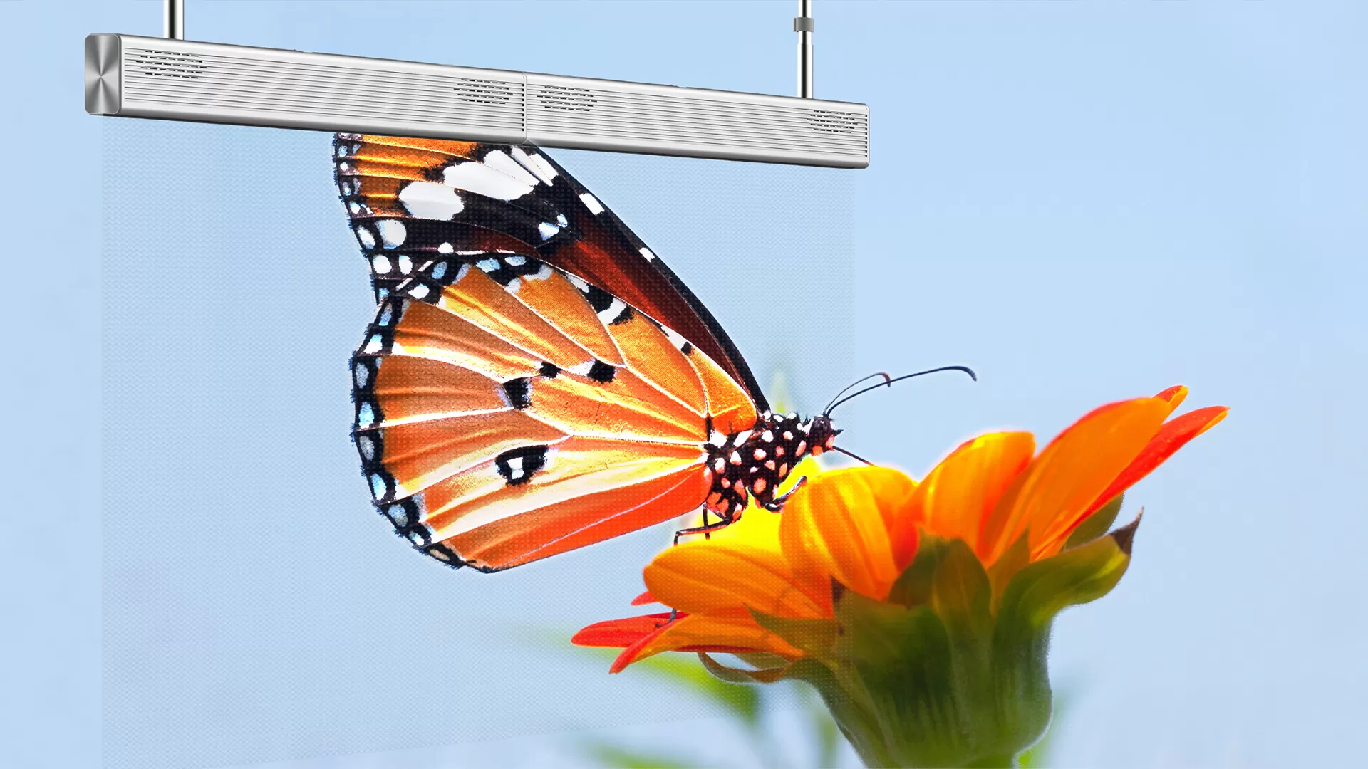 Transparent LED Banners High-Resolution Display Quality Our feature image by onQ Digital Group