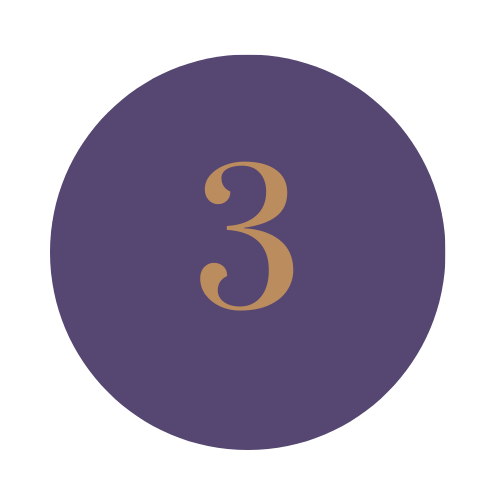 Number 3 Icon