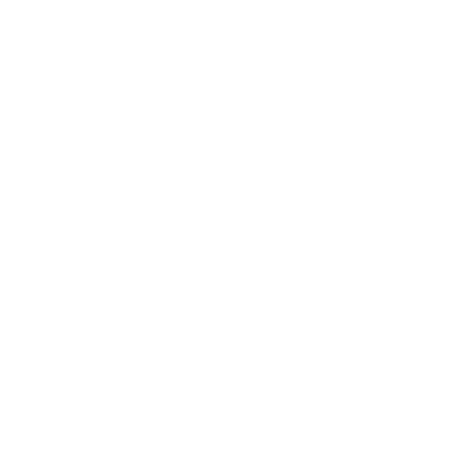 Direction Icon