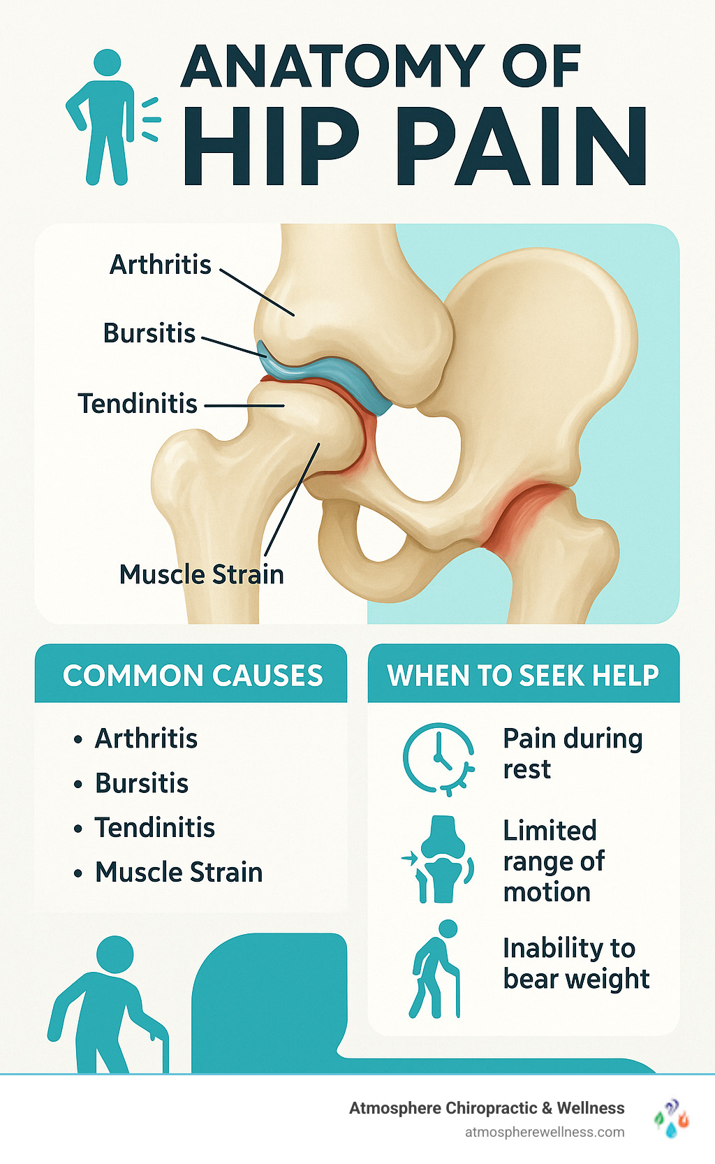 Comprehensive infographic showing the anatomy of hip pain including common causes like arthritis, bursitis, tendinitis, and muscle strains, along with warning signs that indicate when to seek professional help such as pain during rest, limited range of motion, and inability to bear weight - hip pain physical therapy services lehi ut infographic 