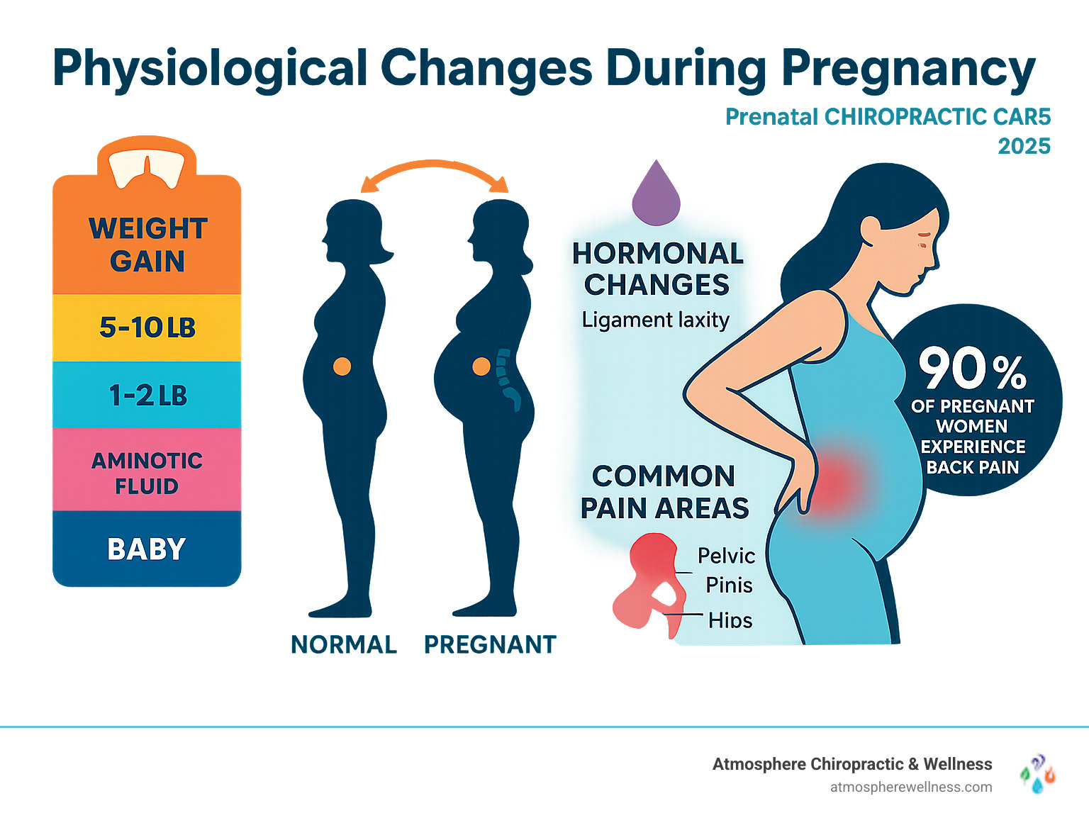 Infographic showing the physiological changes during pregnancy including weight gain distribution, center of gravity shift from normal to pregnant position, hormonal changes affecting ligament laxity, and common pain areas like lower back, pelvis, and hips with statistics showing 90% of pregnant women experience back pain - prenatal chiropractic care infographic 