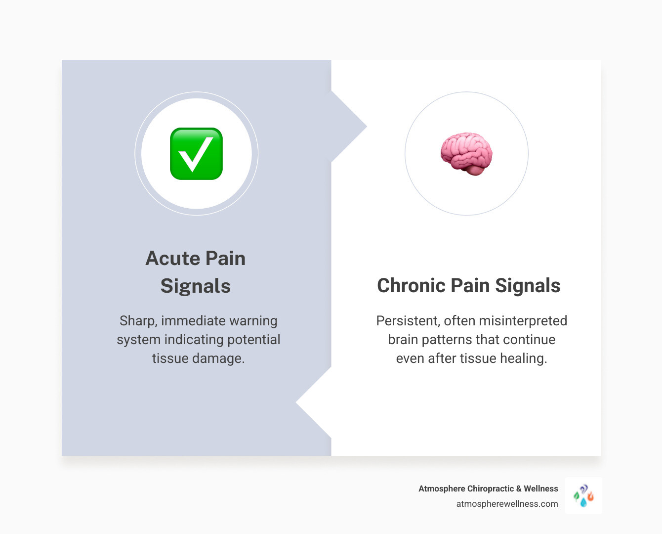Infographic showing the difference between acute pain signals (sharp, immediate warning system) and chronic pain signals (persistent, often misinterpreted brain patterns that continue even after tissue healing) - pain relief therapy infographic comparison-2-items-formal