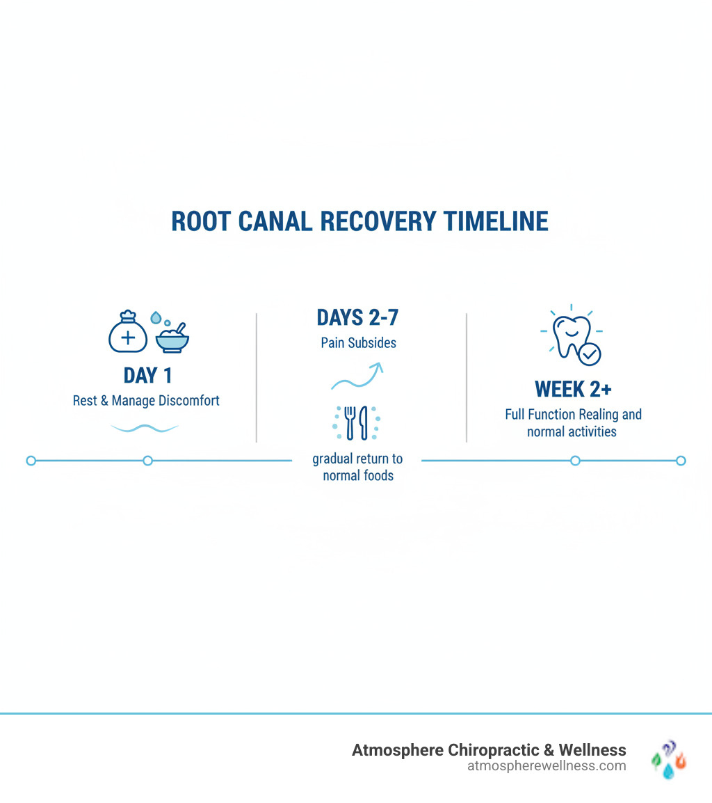 Root Canal Recovery Timeline Infographic showing Day 1: Rest & Manage Discomfort with ice packs and soft foods, Days 2-7: Pain Subsides with gradual return to normal foods, Week 2 and beyond: Full Function Restored with complete healing and normal activities - how long is recovery after root canal treatment infographic Root Canal Recovery Timeline Infographic showing Day 1: Rest & Manage Discomfort with ice packs and soft foods, Days 2-7: Pain Subsides with gradual return to normal foods, Week 2 and beyond: Full Function Restored with complete healing and normal activities - how long is recovery after root canal treatment infographic