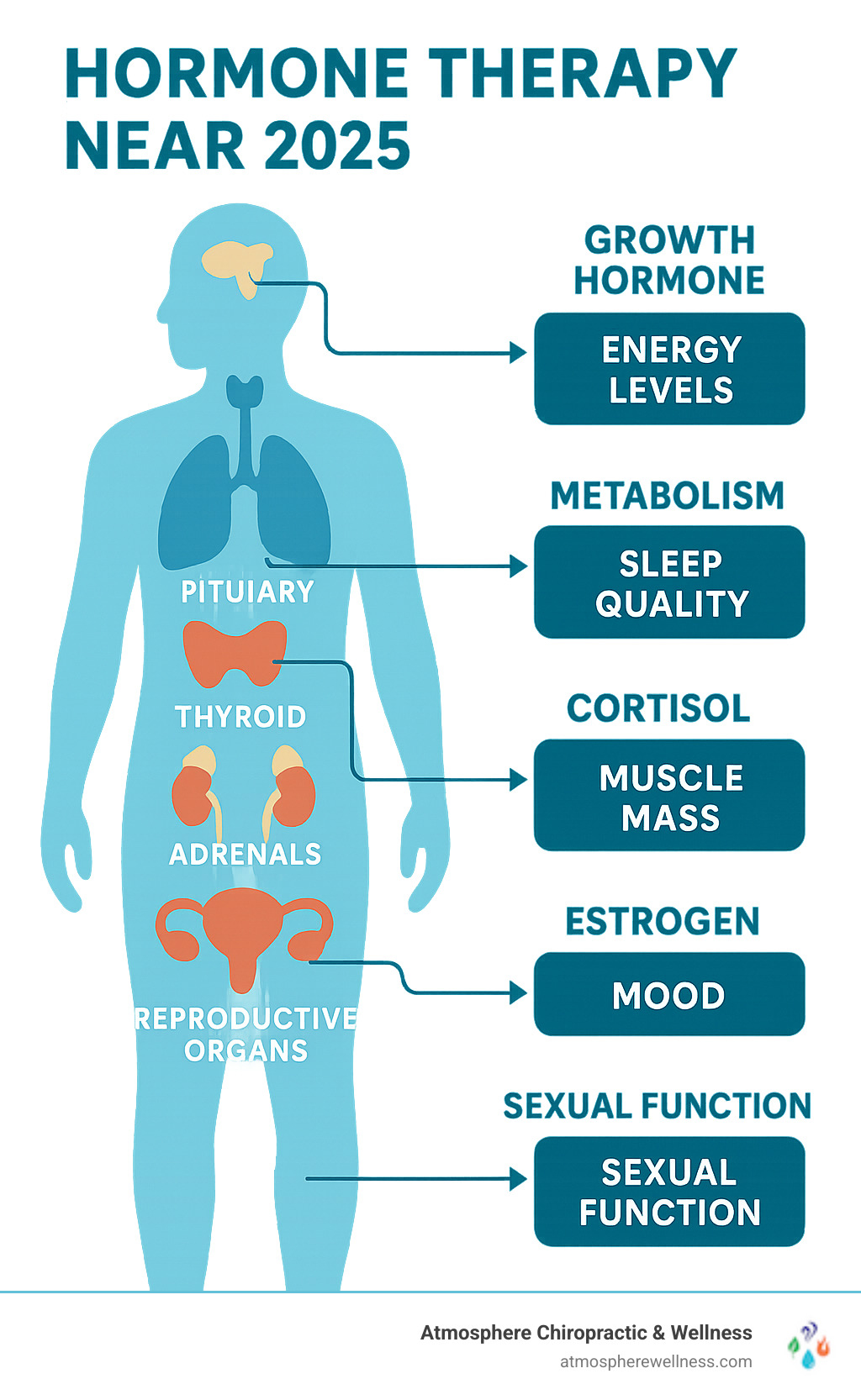 Comprehensive infographic showing the body's main hormone-producing glands including the pituitary, thyroid, adrenals, and reproductive organs, with arrows indicating how hormones like estrogen, testosterone, cortisol, and growth hormone affect energy levels, mood, metabolism, sleep quality, muscle mass, and sexual function - hormone therapy near infographic 