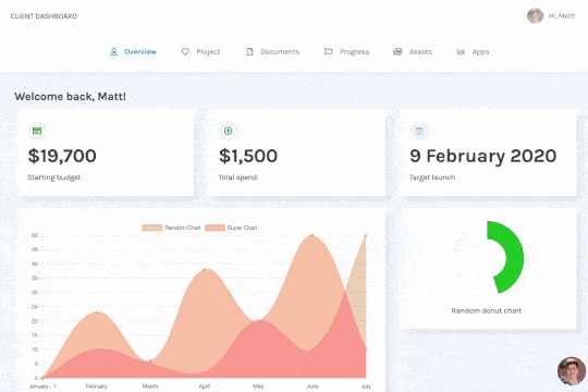 Панель клиента с графиками и статистикой, демонстрирующая возможности Webflow для создания сложных интерактивных сайтов.