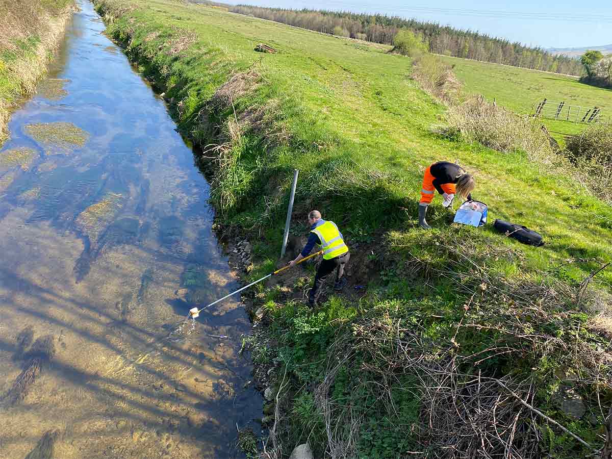 Two people in high-visibility clothing collecting water samples from a shallow stream beside a grassy bank.