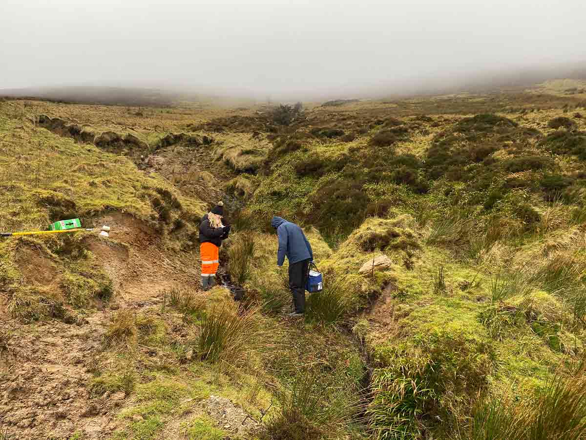 Two people in outdoor gear work near a small stream in a grassy, foggy hillside landscape.