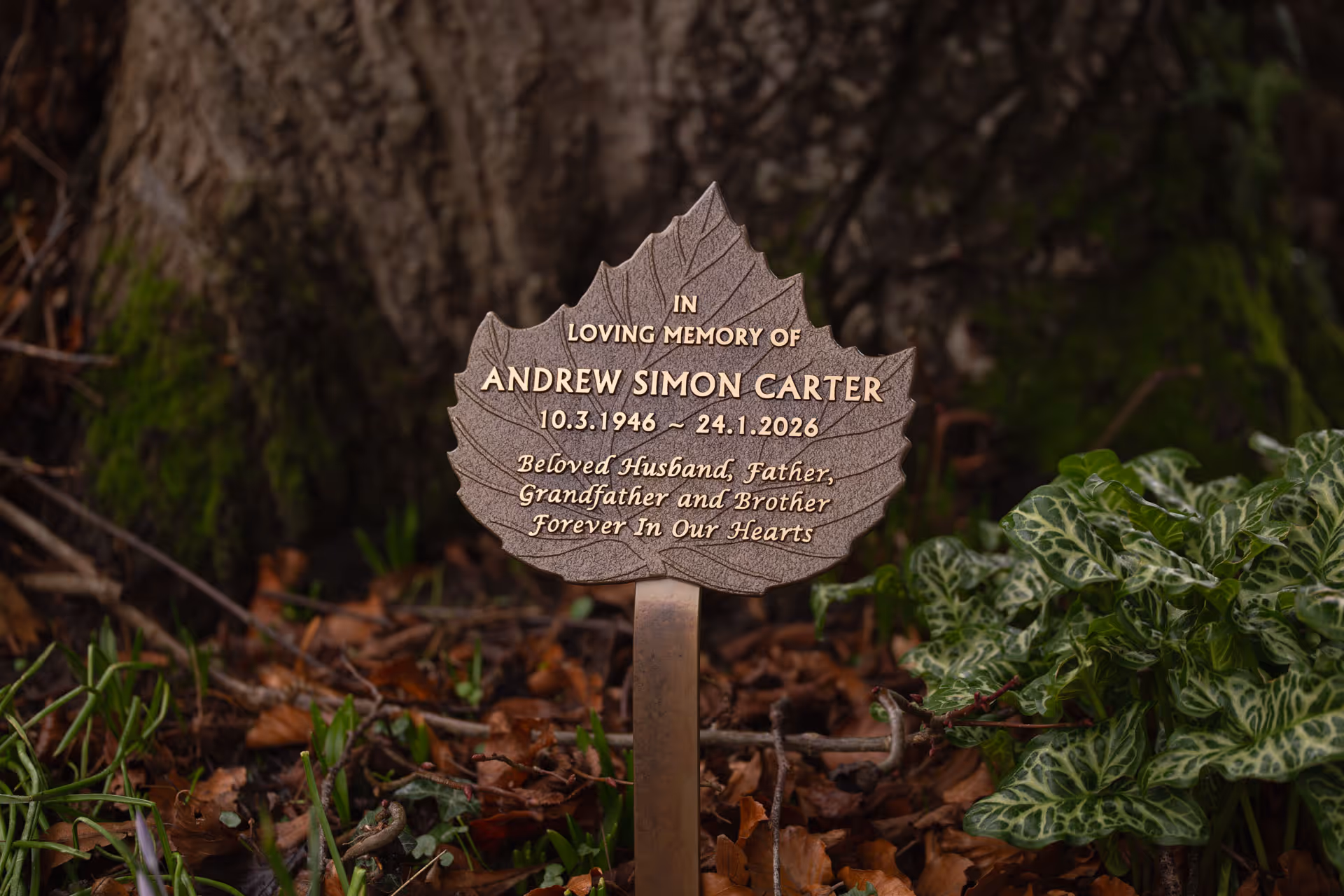 Cast bronze leaf memorial plaque with detailed design and personalised inscription. Available with patinated finish, colour options and flexible fixing choices.